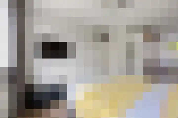 Penningslag 4 Houten thumbnail 21