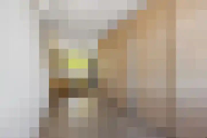 Penningslag 4 Houten thumbnail 24