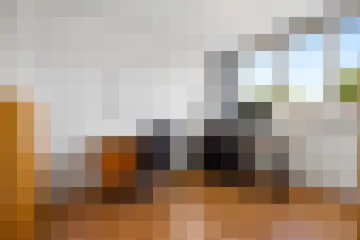 Penningslag 4 Houten thumbnail 28