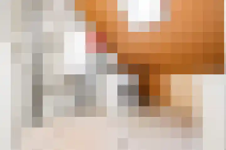 Penningslag 4 Houten thumbnail 39