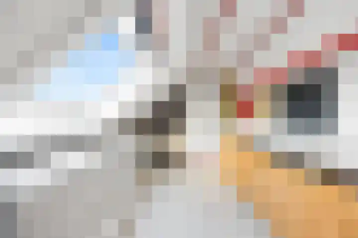 Penningslag 4 Houten thumbnail 41