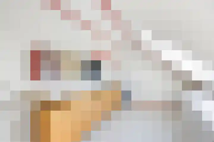 Penningslag 4 Houten thumbnail 42