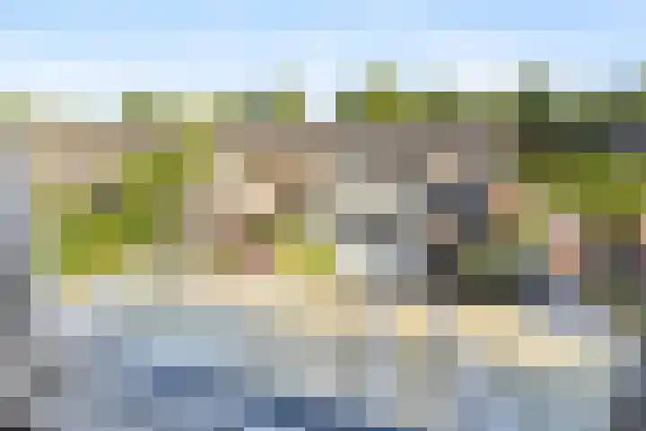 Penningslag 4 Houten thumbnail 43