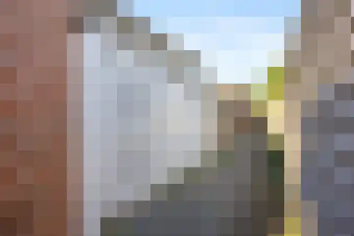 Penningslag 4 Houten thumbnail 49