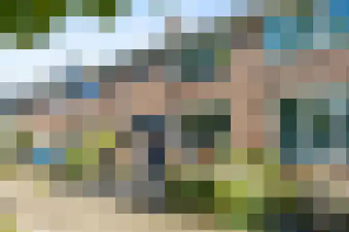 Penningslag 4 Houten thumbnail 51