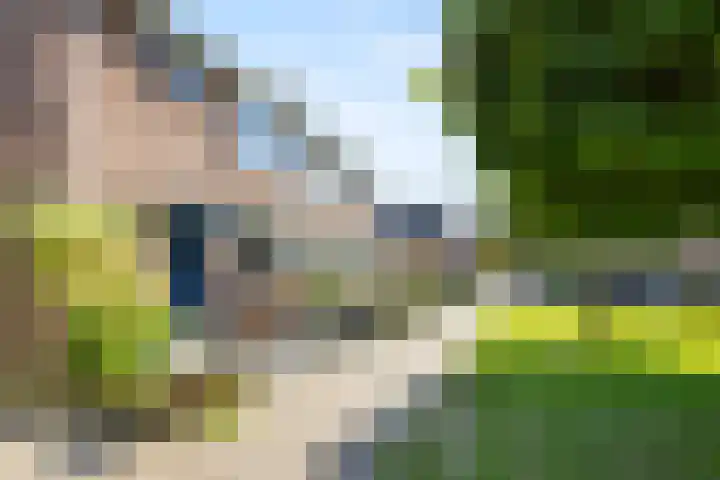 Penningslag 4 Houten thumbnail 53