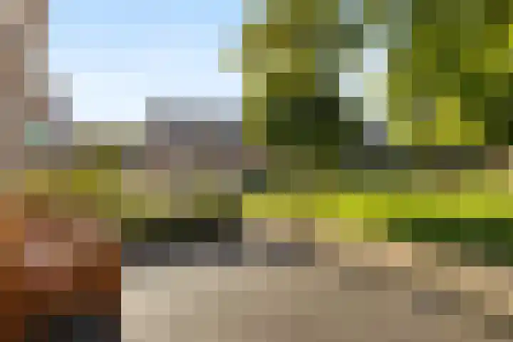 Penningslag 4 Houten thumbnail 54