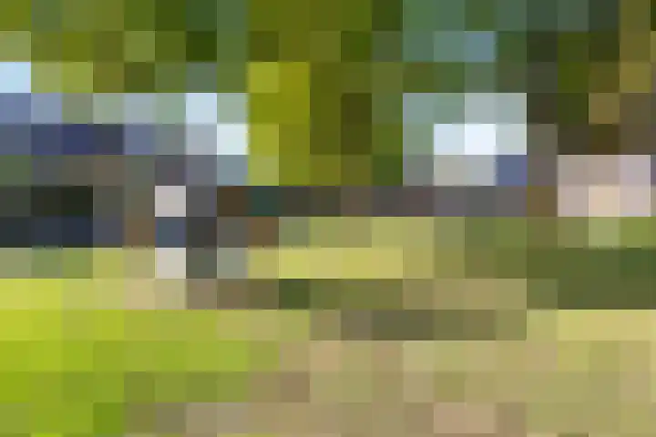 Penningslag 4 Houten thumbnail 55