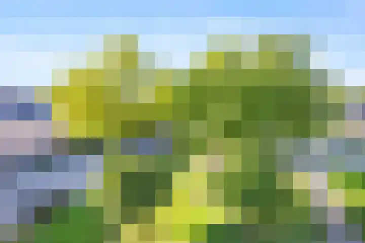 Penningslag 4 Houten thumbnail 56