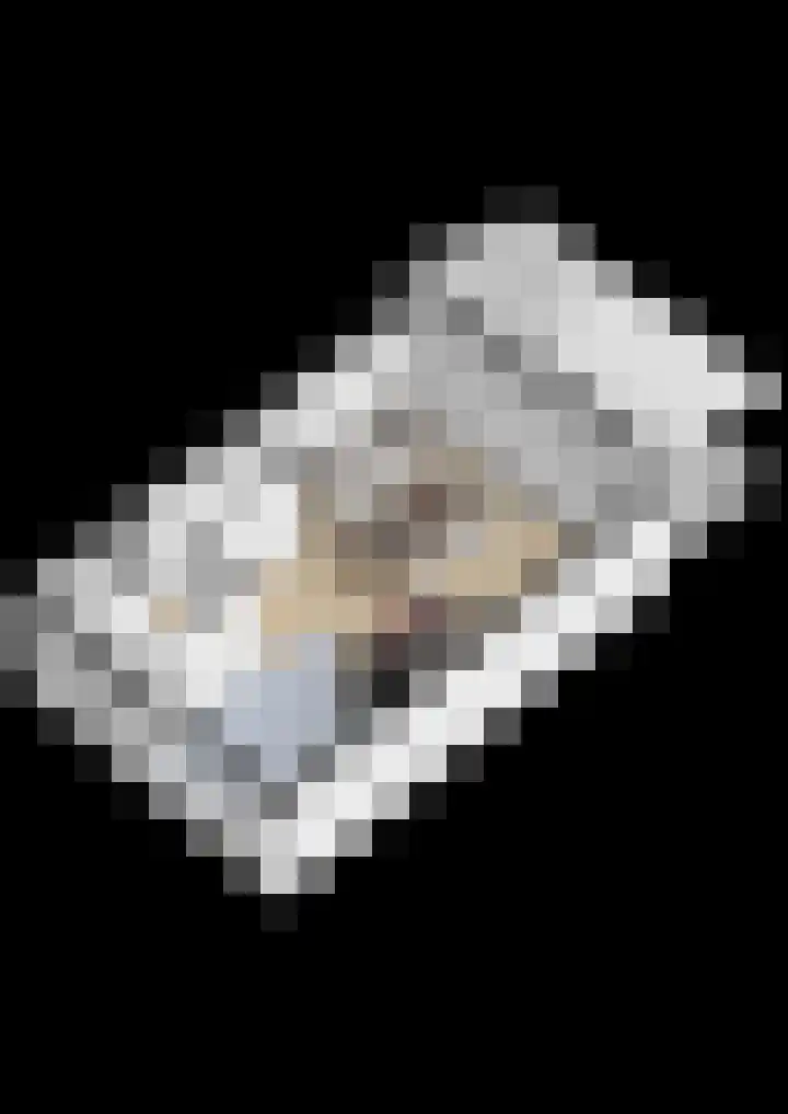 Penningslag 4 Houten thumbnail 58