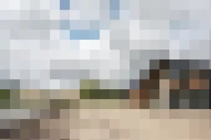 Penningsveer 4 E Haarlemmerliede thumbnail 45