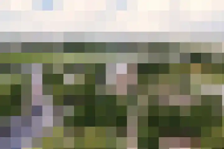 Penningsveer 4 E Haarlemmerliede thumbnail 50