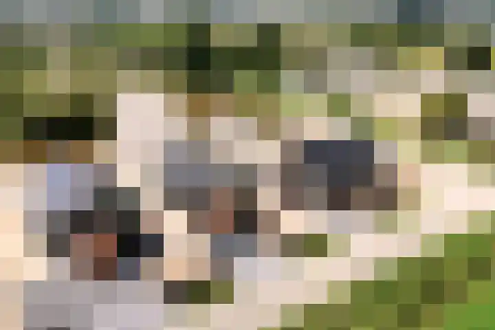 Penningsveer 4 E Haarlemmerliede thumbnail 51