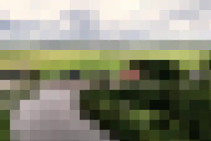Penningsveer 4 E Haarlemmerliede thumbnail 52