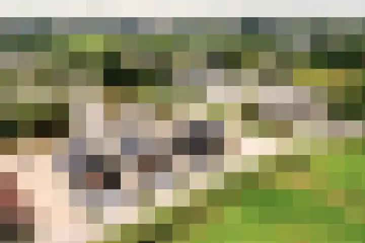 Penningsveer 4 E Haarlemmerliede thumbnail 53