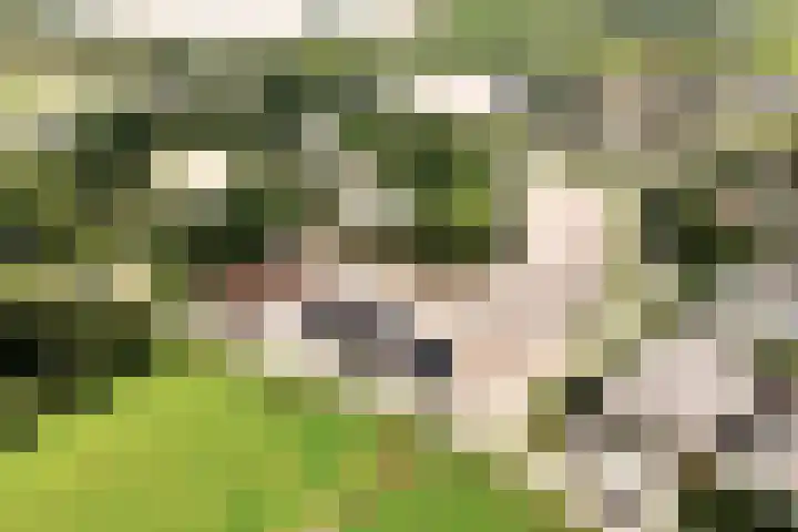 Penningsveer 4 E Haarlemmerliede thumbnail 54