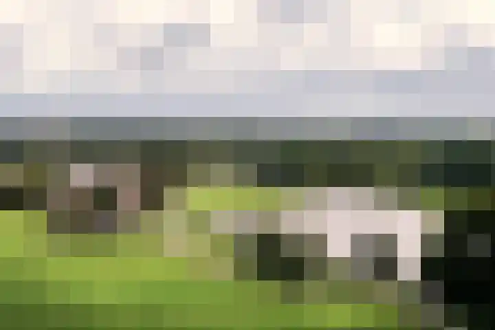 Penningsveer 4 E Haarlemmerliede thumbnail 55