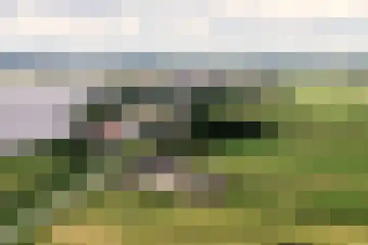 Penningsveer 4 E Haarlemmerliede thumbnail 56