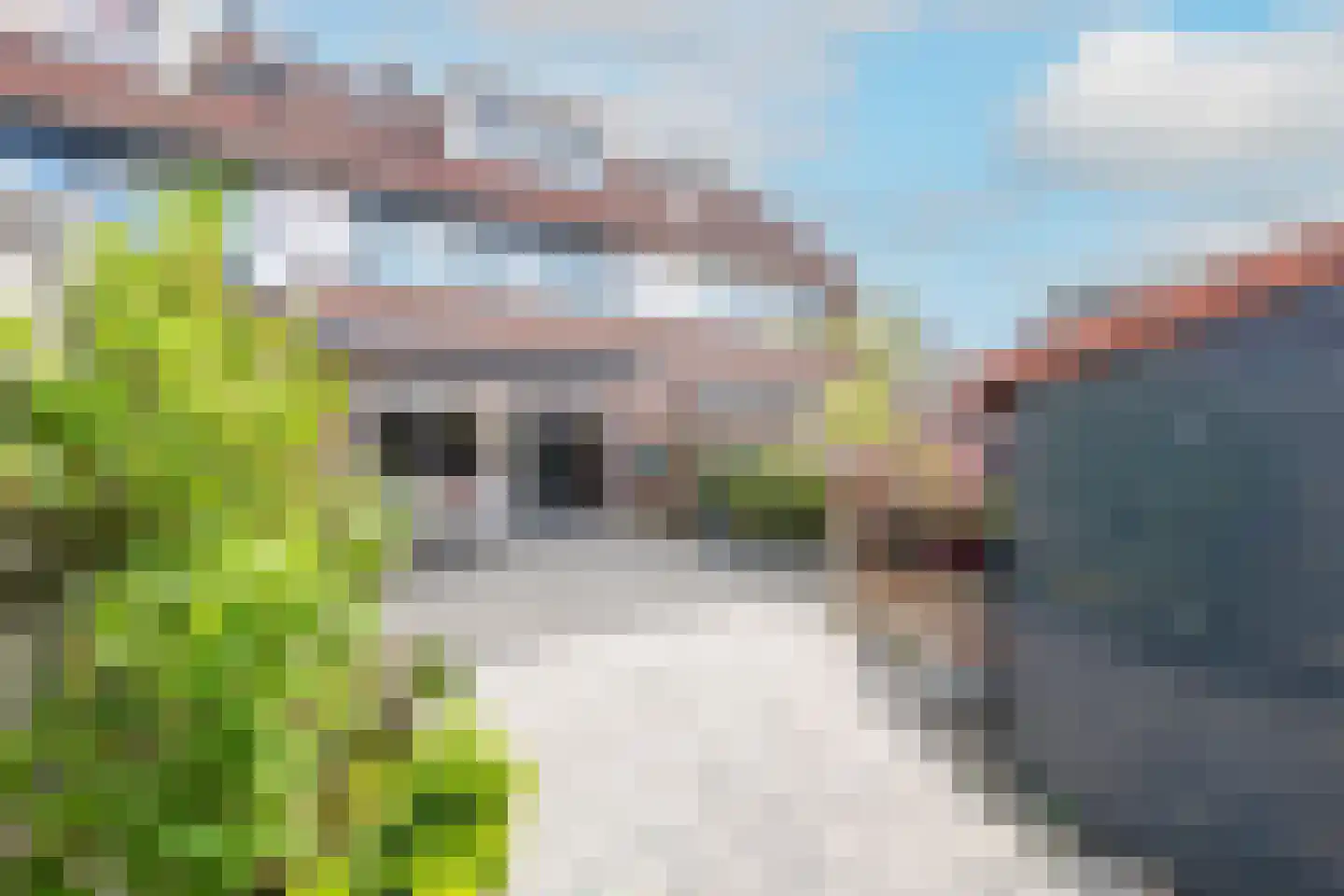 Penningweg 42 Alkmaar thumbnail 39