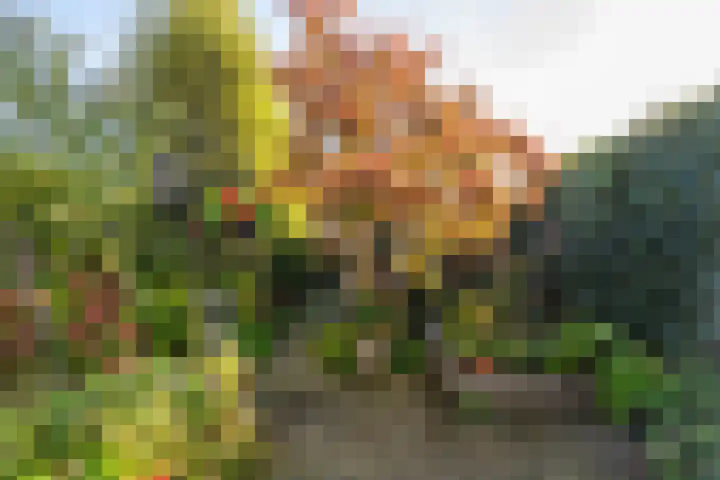 Penninkstraat 14 Enschede thumbnail 33