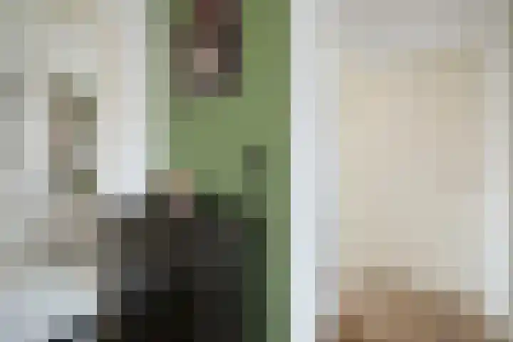 Penninksweg 9 A Twello thumbnail 18