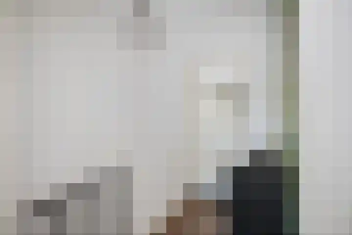 Penninksweg 9 A Twello thumbnail 19