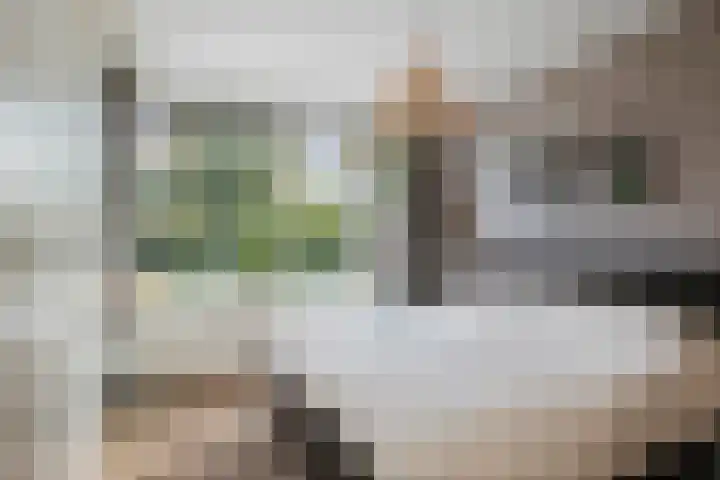 Penninksweg 9 A Twello thumbnail 20