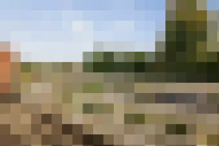 Penninksweg 9 A Twello thumbnail 22