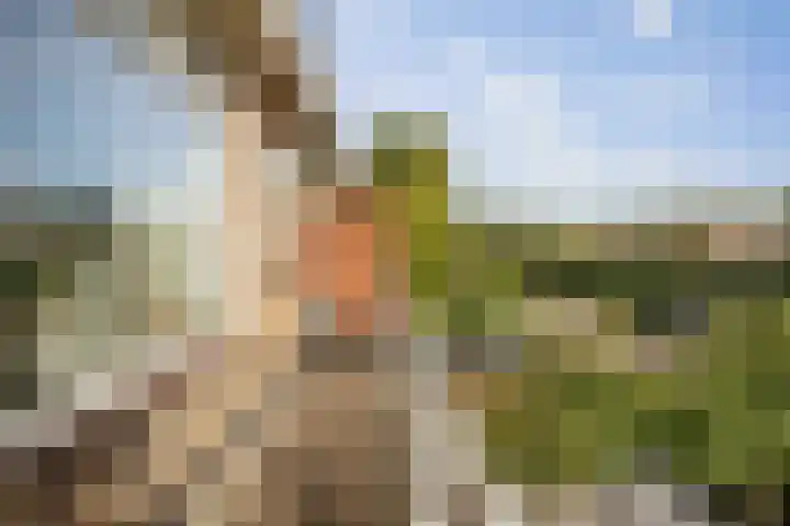 Penninksweg 9 A Twello thumbnail 23