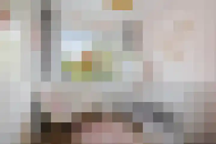 Penninksweg 9 A Twello thumbnail 28