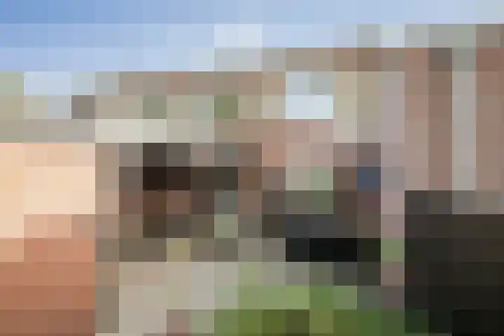 Penninksweg 9 A Twello thumbnail 32