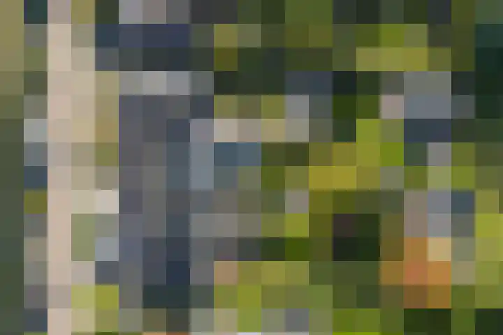 Penninksweg 9 A Twello thumbnail 33