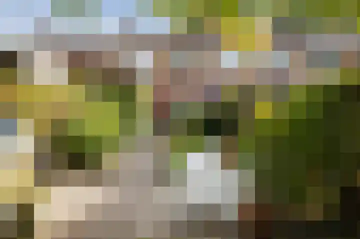Penninksweg 9 A Twello thumbnail 36