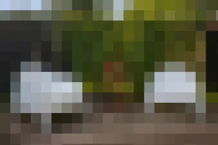 Penninksweg 9 A Twello thumbnail 37