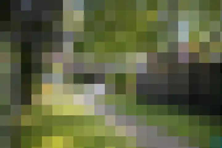Penninksweg 9 A Twello thumbnail 38