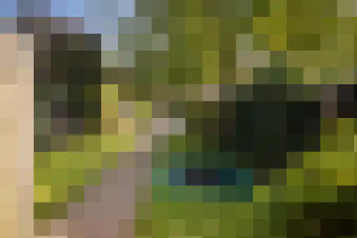 Penninksweg 9 A Twello thumbnail 39