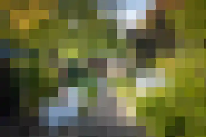 Penninksweg 9 A Twello thumbnail 40