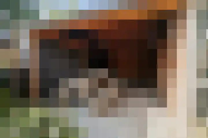 Penninksweg 9 A Twello thumbnail 41