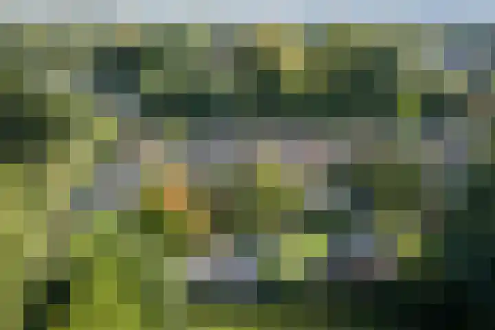 Penninksweg 9 A Twello thumbnail 42