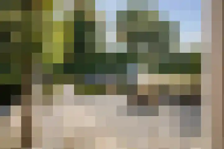 Penninksweg 9 A Twello thumbnail 44