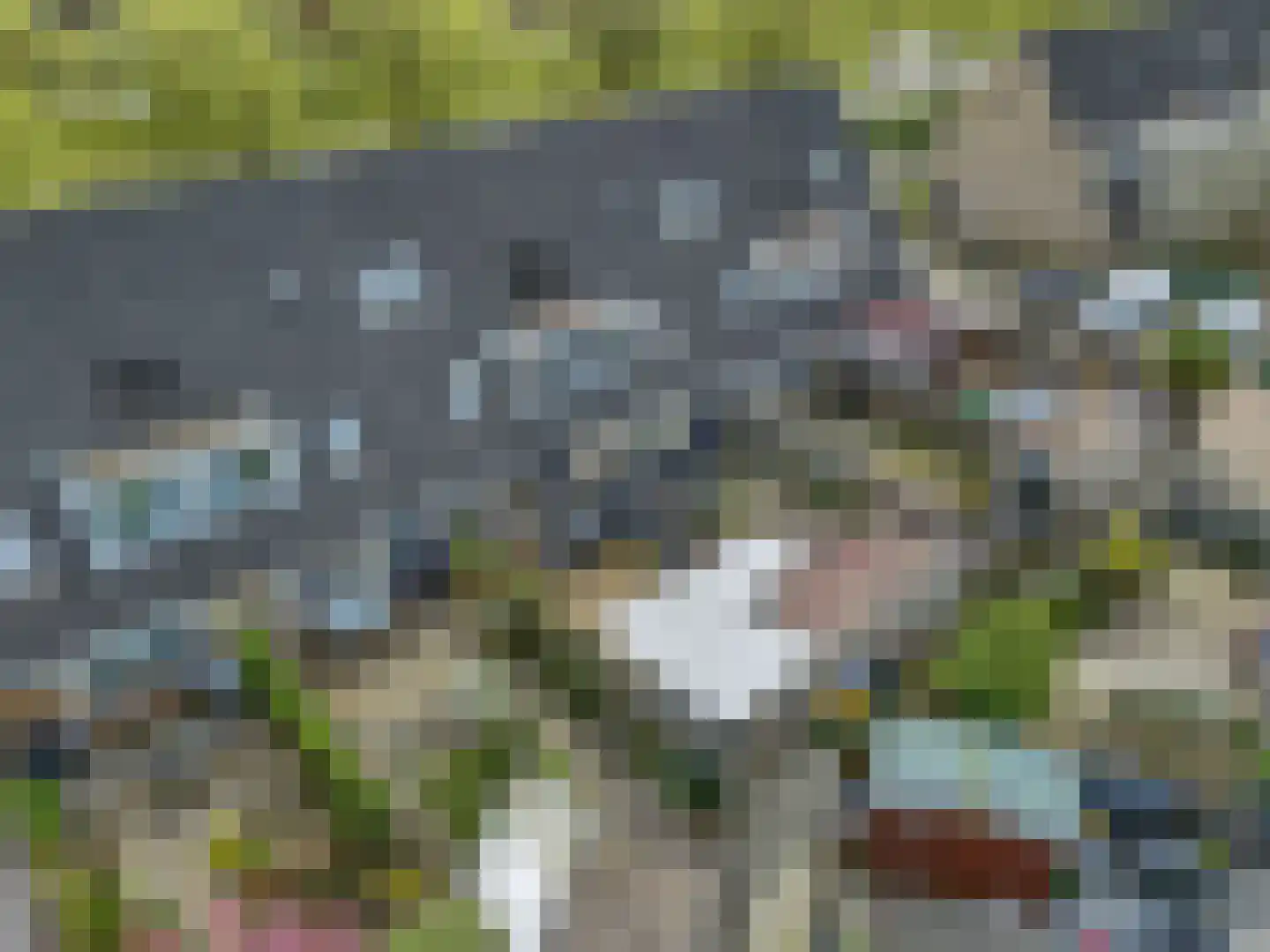 Pennstate 23 Ede thumbnail 29