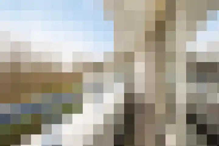 Pennstate 41 Ede thumbnail 30