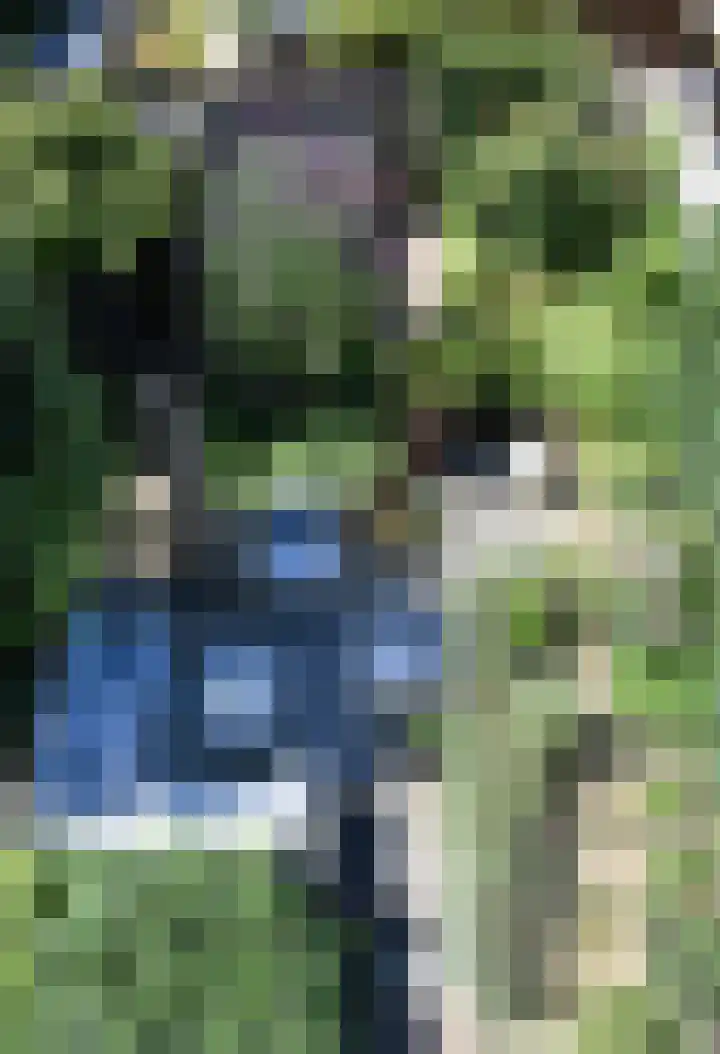 Pennstate 41 Ede thumbnail 34