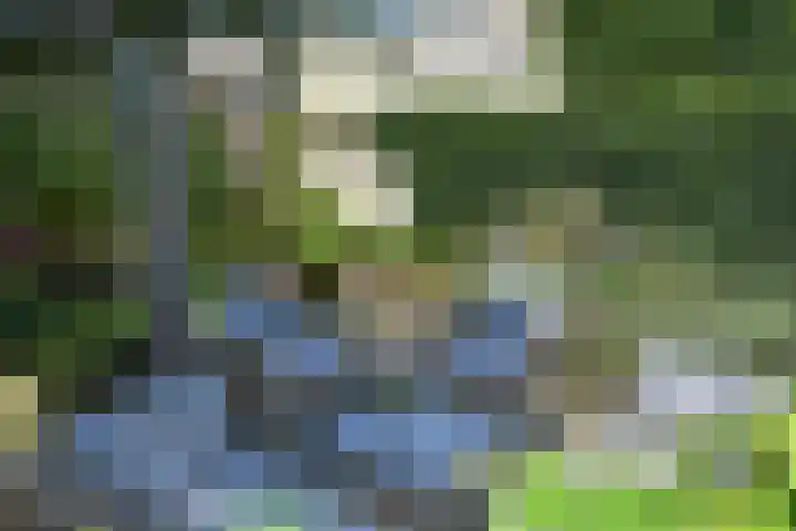 Pennstate 41 Ede thumbnail 35