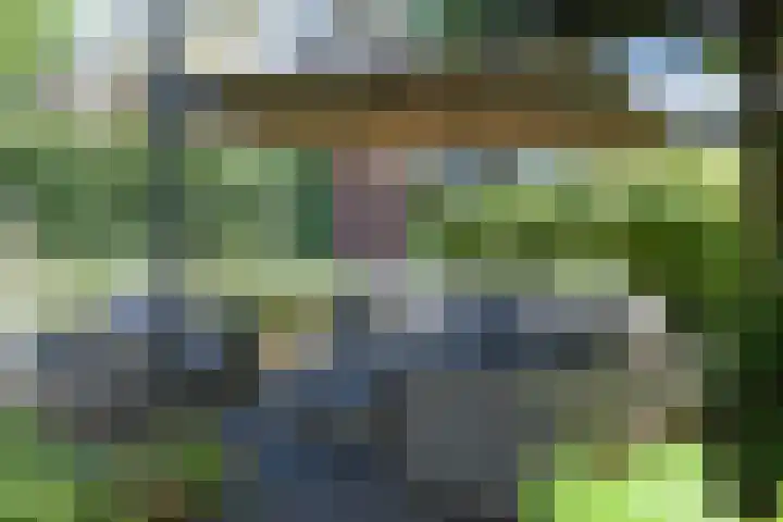 Pennstate 41 Ede thumbnail 36