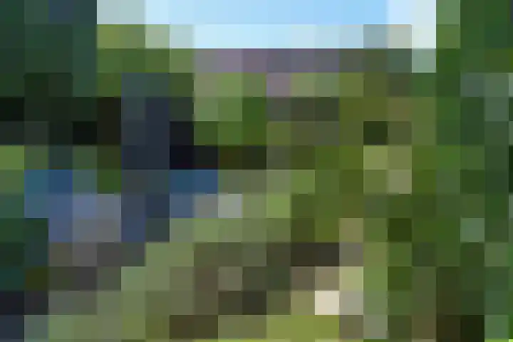 Pennstate 41 Ede thumbnail 37