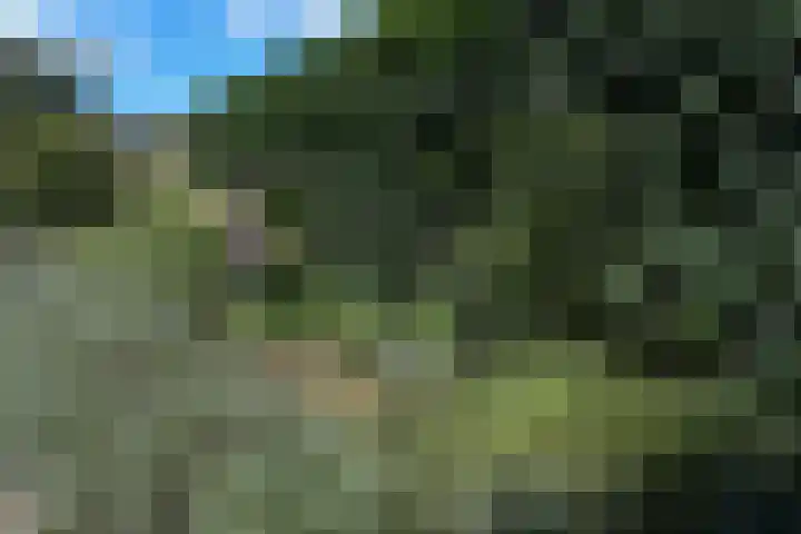 Pennstate 41 Ede thumbnail 38