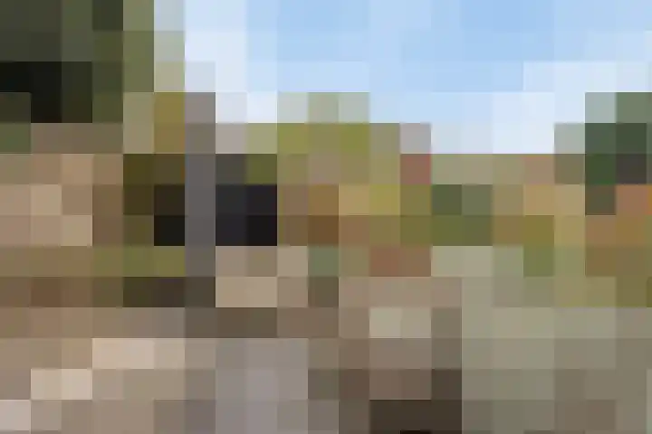 Pennstate 41 Ede thumbnail 40