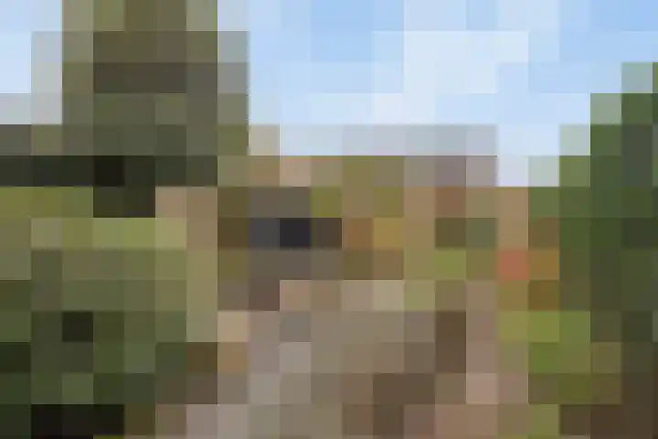 Pennstate 41 Ede thumbnail 41