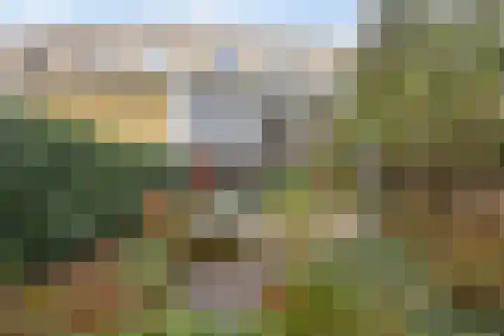 Pennstate 41 Ede thumbnail 43